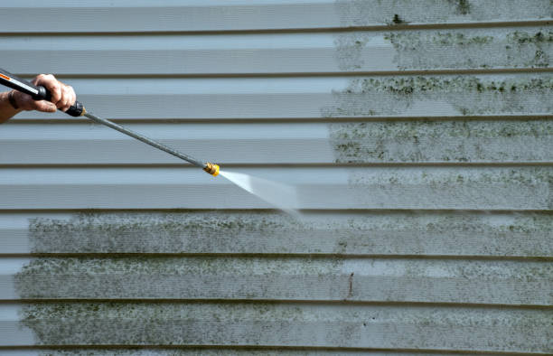 Boat and Dock Cleaning in Beaverton, MI
